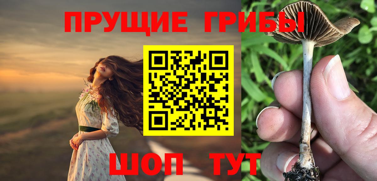 Галлюциногенные грибы MAGIC MUSHROOMS Гатчина