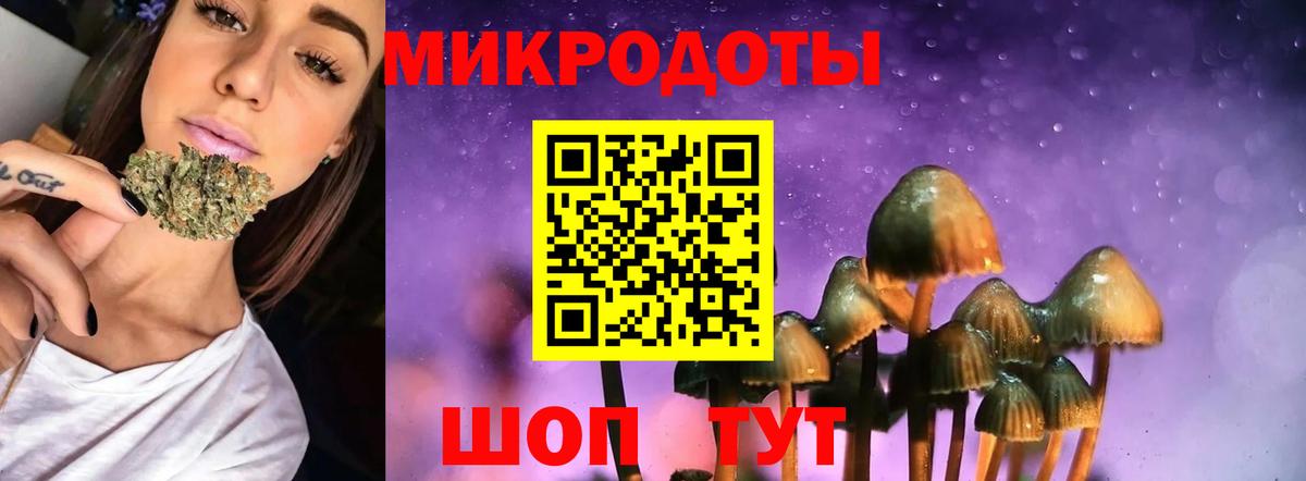 Гатчина  Галлюциногенные грибы GOLDEN TEACHER  Вход с VPN 